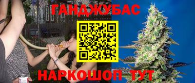 метадон Можга
