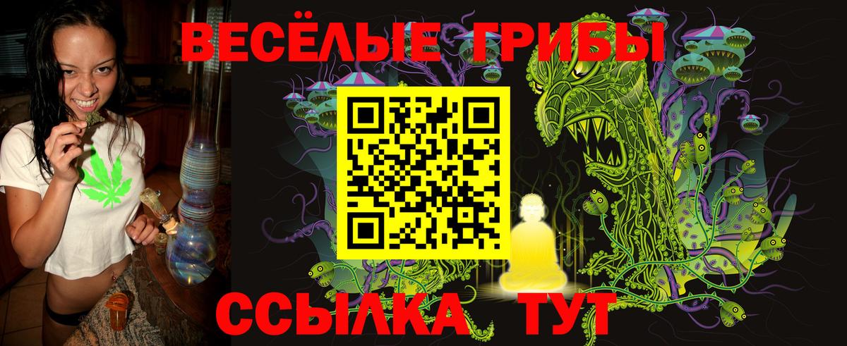 Галлюциногенные грибы прущие грибы  Вход с VPN  Верхняя Пышма  Псилоцибиновые грибы MAGIC MUSHROOMS 