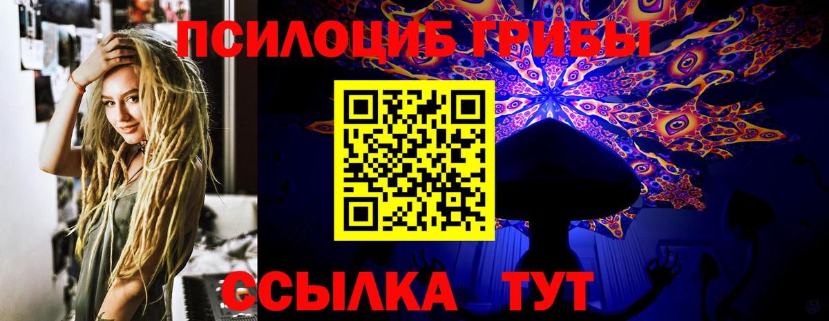 Галлюциногенные грибы Cubensis Верхняя Пышма
